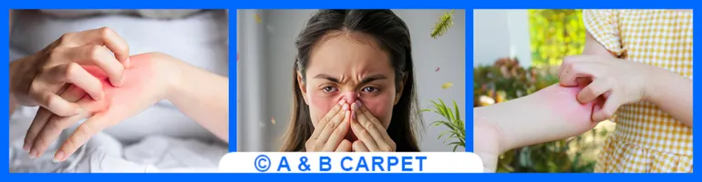 Allergy control brooklyn ny